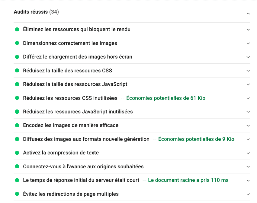Audits réussis avec WP Rocket - PSI
