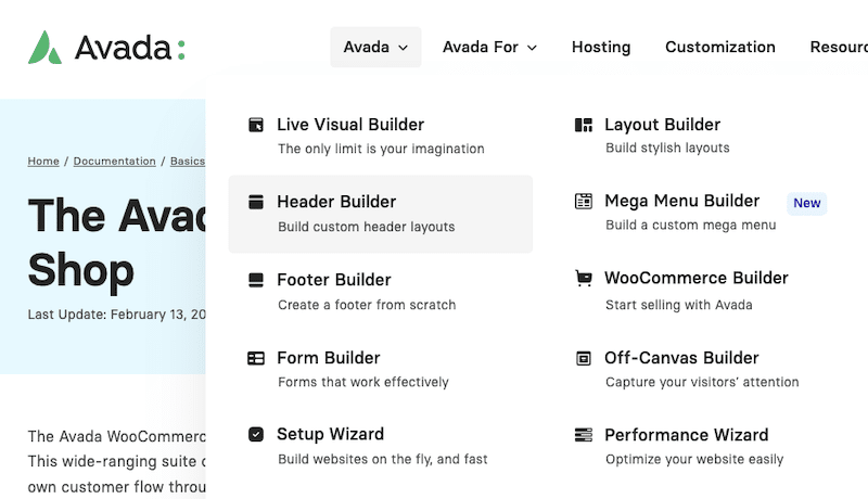 Avada theme, which allows you to customize each part of your site from header to footer - Source: Avada
