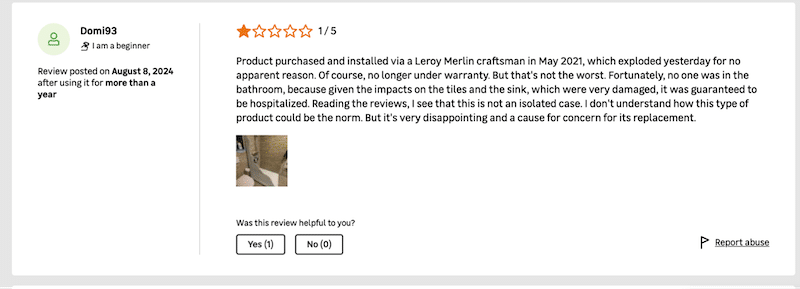 Example of a customer review with photo - Source: leroymerlin