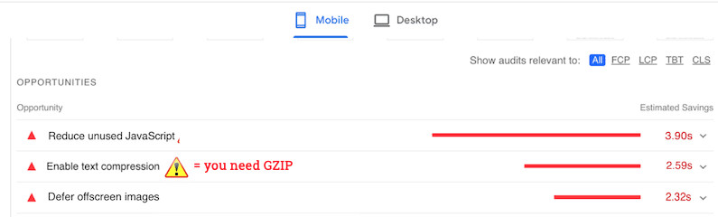 GZIP compression needed - Source: PageSpeed Insights