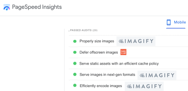 Imagify and LazyLoad by WP Rocket as part of the passed audit - Source: PageSpeed Insights