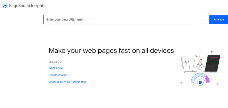 Running a performance test with PageSpeed Insights - Source: PageSpeed Insights