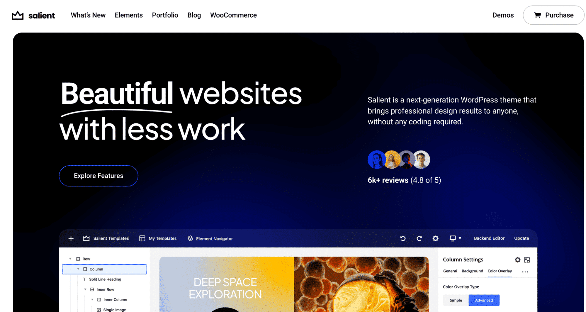 Salient theme- source: themenectar.com