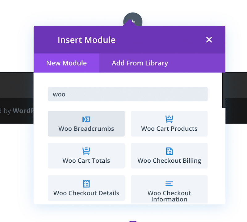 Source: Divi WooCommerce Builder