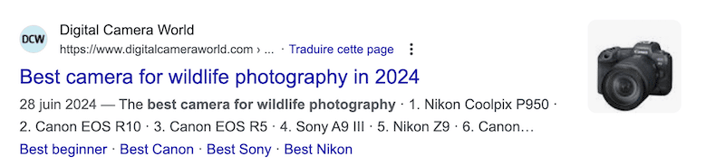 Title tag and meta description example - Source: Google search results