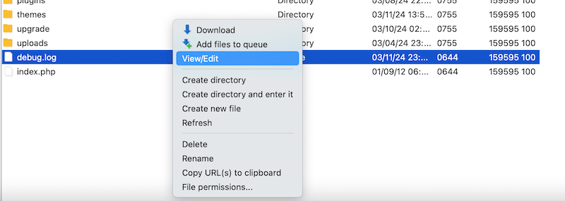 View and edit the debug.log - Source: WP Rocket