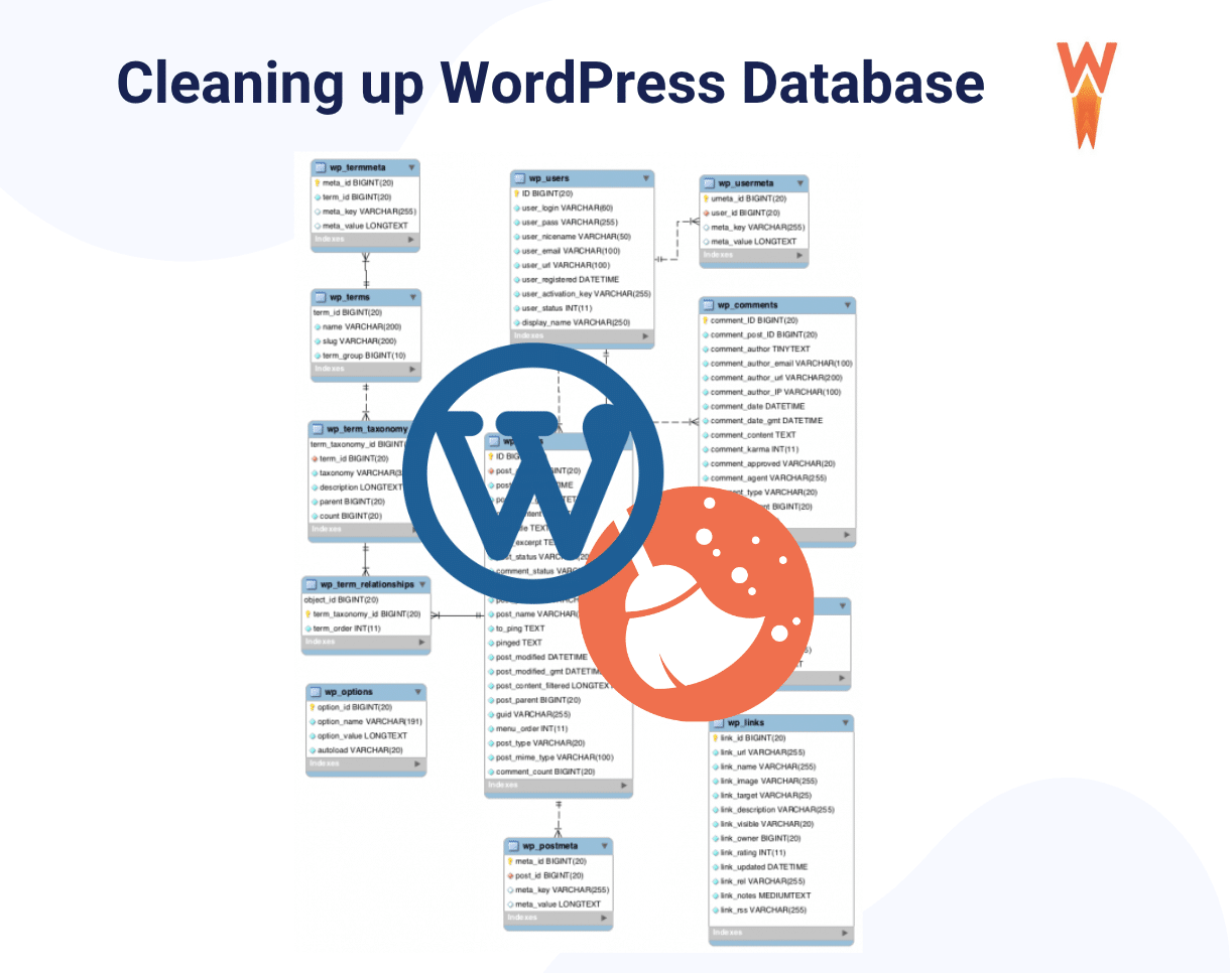 WordPress database clean-up - Source: WP Rocket