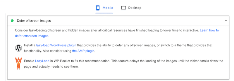 WP Rocket and PageSpeed Insights - Source: PageSpeed Insights