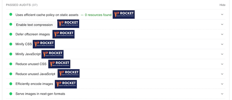 WP Rocket helps to optimize the code and pass the audit on PageSpeed Insights - Source: PageSpeed Insights